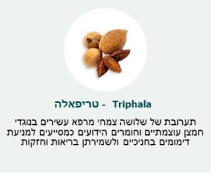 טריפאלה (Triphala) - תערובת של שלושה צמחי מרפא עשירים בנוגדי חמצן עוצמתיים וחומרים הידועיים כמסייעים למניעת דימומים בחניכיים ולשמירתן בריאות וחזקות. טריפאלה (Triphala) - תערובת של שלושה צמחי מרפא עשירים בנוגדי חמצן עוצמתיים וחומרים הידועיים כמסייעים למניעת דימומים בחניכיים ולשמירתן בריאות וחזקות.
