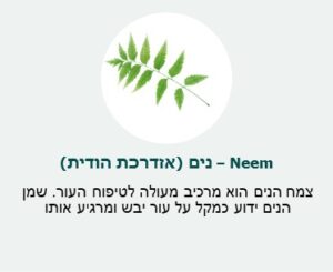 נים (אזדרכת הודית) (Nim) - צמח הנים הוא ״מרכיב מעולה לטיפוח העור. שמן הנים ידוע כמקל על עור יבש ומרגיע אותו. נים (אזדרכת הודית) (Nim) - צמח הנים הוא ״מרכיב מעולה לטיפוח העור. שמן הנים ידוע כמקל על עור יבש ומרגיע אותו.