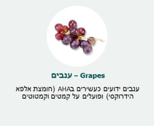 ענבים (Grapes) - ענבים ידועים כעשירים בAHA (חומצת אלפא הידרוקסי) ופועלים על קמטים וקמטוטים ענבים (Grapes) - ענבים ידועים כעשירים בAHA (חומצת אלפא הידרוקסי) ופועלים על קמטים וקמטוטים