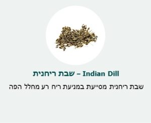 שבת ריחנית (Indian Dill) - מסייעת במניעת ריח רע מחלל הפה שבת ריחנית (Indian Dill) - מסייעת במניעת ריח רע מחלל הפה