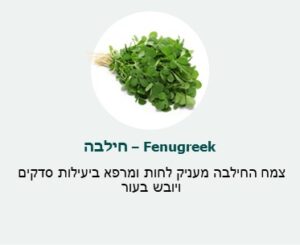חילבה (Fenugreek) - צמח החילבה המעניק לחות ומרפא ביעילות סדקים ויובש בעור.