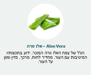 מרכיב - אלו וורה