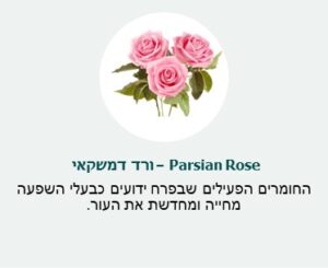 ורד דמשקאי (Parsian Rose) - החומרים הפעילים שבפרח ידועים כבעלי השפעה מחייה ומחדשת את העור. ורד דמשקאי (Parsian Rose) - החומרים הפעילים שבפרח ידועים כבעלי השפעה מחייה ומחדשת את העור.