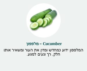 מרכיב - מלפפון