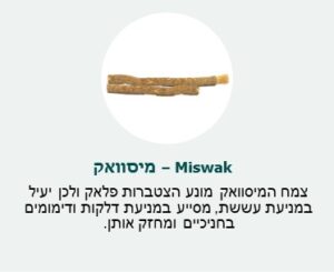 מיסוואק (Miswak)- צמח המיסוואק מונע הצטברות פלאק ולכן יעיל במניעת עששת, מסייע במניעת דלקות ודימומים בחניכיים ומחזק אותן. מיסוואק (Miswak)- צמח המיסוואק מונע הצטברות פלאק ולכן יעיל במניעת עששת, מסייע במניעת דלקות ודימומים בחניכיים ומחזק אותן.