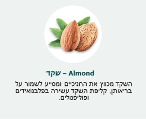 שקד (Almond) - השקד מכווץ את החניכיים ומסייע לשמור על בריאותן, קליפת השקד עשירה בפלבנואידים ופוליפנולים.