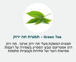 תמצית תה ירוק (Green Tea) - תמצית המופקת מעלי תה ירוק אורגני. תה ירוק הינו אסטריגנט טבעי המסייע בשמירה על רעננות וגמישות העור ועל פתיחת נקבוביות סתומות. תמצית תה ירוק (Green Tea) - תמצית המופקת מעלי תה ירוק אורגני. תה ירוק הינו אסטריגנט טבעי המסייע בשמירה על רעננות וגמישות העור ועל פתיחת נקבוביות סתומות.