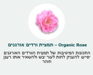 תמצית ורדים אורגנים - התכונות המיטיבות של תמצית הוורדים האורגניים יסייעו להעניק לחות לעור יבש והלשאיר אותורענן וזוהר.