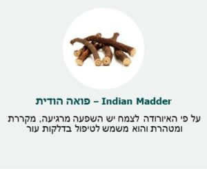 פואה הודית (Indian Madder) - על פי האיורודה לצמח יש השפעה מרגיעה, מקררת ומטהרת והוא משמש לטיפול בדלקות עור. פואה הודית (Indian Madder) - על פי האיורודה לצמח יש השפעה מרגיעה, מקררת ומטהרת והוא משמש לטיפול בדלקות עור.