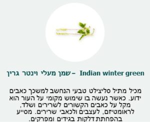 שמן מעלי וינטר גרין (Indian winter green) - מכית מתיל סליצילט טבעי הנחשב למשכך כאבים ידוע. כאשר נעשה בו שימוש מקומי על העור הוא מקל על כאבים הקשורים לשרירים ושלד, לראומטיזם, לעצבים ולכאבי שרירים. מסייע בהפחתת דלקות בגידים ומפרקים.