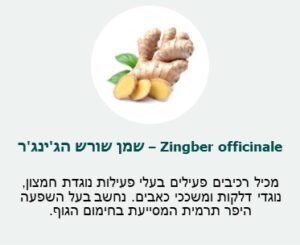שמן שורש הג׳ינג׳ר (Zingber officinale)- מכיל רכיבין פעילים בעלי פעילות נוגדות חמצון, נוגדי דלקות ומשככי כאבים. נחשב בעל השפעה היפר תרמית המסייעת בחימום הגוף.