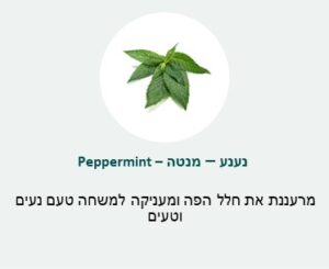 נענע מנטה (peppermint) -מרעננת את חלל הפה ומעניקה למשחה טעם נעים וטעים נענע מנטה (peppermint) -מרעננת את חלל הפה ומעניקה למשחה טעם נעים וטעים