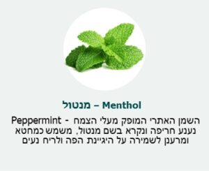 מנטול - השמן האתרי המופק מעלי הצמח PEPPERMINT נענע חריפה ונקרא בשם מנטול, משמש כמחטא ומרענן לשמירה על היגיינתצ הפה ולריח נעים.